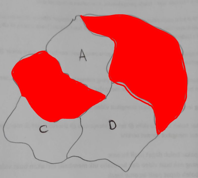 Android Image Touch Selection Area Stack Overflow - Download Gorgeous Minimal Texture | High Resolution