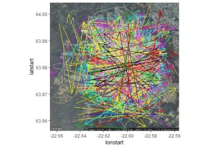 flight angles calculate direction multiple common bird circle chaotic might bit