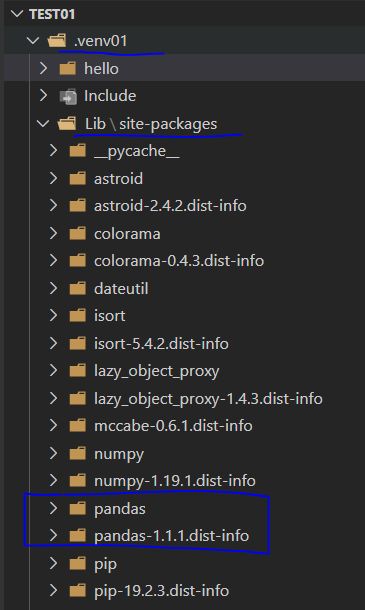 Python Pandas Not Found In Visual Studio Code Even Though It Is Definitely In The Env Stack - Light Texture Collection - Mobile Quality