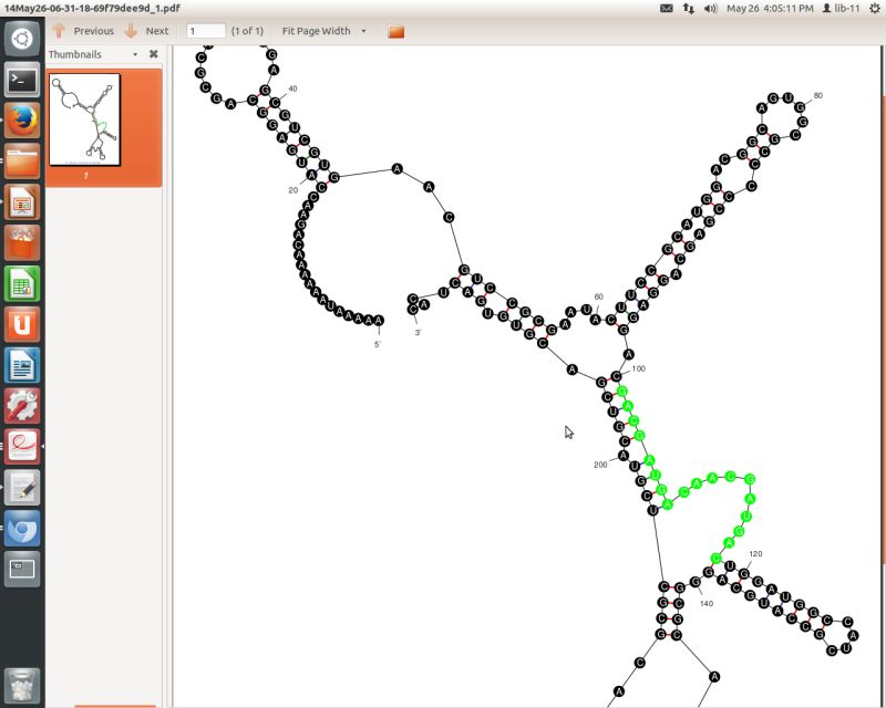 Mfold Rna Modeling Program Pdf Biology Life Sciences - Mobile Nature Images for Desktop
