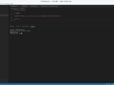 Visual Studio Code Why Does The Terminal Display In My Vscode Look