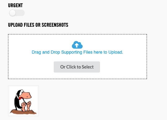 Reactjs Creating A List With React Dropzone Stack Overflow - Creative Mobile Colorful Images | Free Download