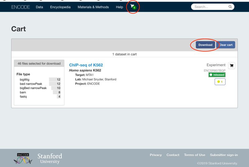 Public Databases How Do You Query And Explore Encode Data Bioinformatics Stack Exchange - City Backgrounds - Professional 4K Collection