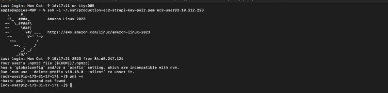 Amazon Ec2 Unable To Start Pm2 In Linux Ec2 Bash Pm2 Command - Full HD Nature Arts for Desktop