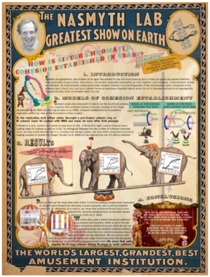 poster academic examples conference research posters layout presentation graphic typography questions winner ones edit found stack