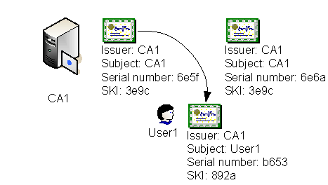 Windows Can A Certificate Have Multiple Chains And Multiple Self - Light Designs - High Quality Ultra HD Collection