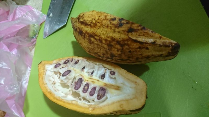 Identify Fruit - Full HD Abstract Images for Desktop