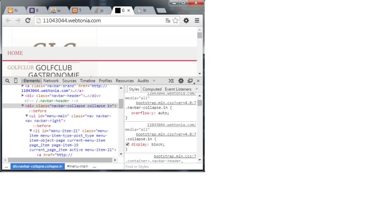 Jquery Collapsing In Bootstrap Is Not Working Stack Overflow - Premium Nature Design Gallery - Retina