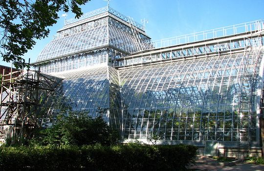 Выйдя из метро надо повернуть налево и идти по ближайшей улице (большому проспекту . Adres Botanicheskij Sad Petra Velikogo Ul Professora Popova 2 Metro Petrogradskaya Kak Proehat Na Transporte Shema Proezda V Botanicheskij Sad Petra Velikogo Informaciya Kak Dobratsya Peshkom I Doehat Na Mashine V