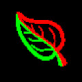 LeafPlaster