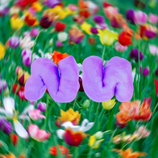 Nu Studio Linktree - Stunning Ocean Design - Retina