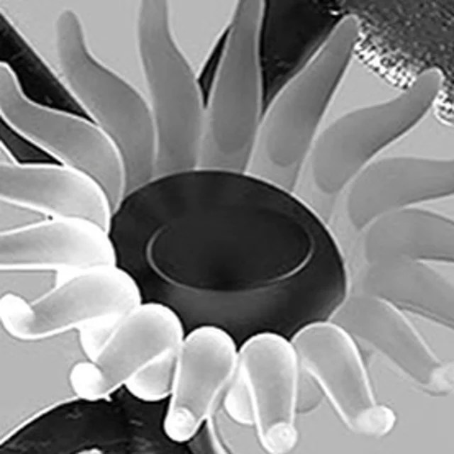 Luis Lopez Mallet Playground - City Designs - Creative Desktop Collection