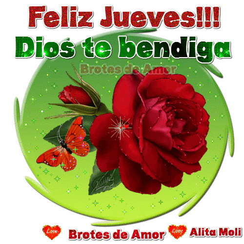 wallpapers Bendecido Reflexion Buenos Dias Feliz Jueves Dios Te Bendiga Gif reflexiones para hoy jueves para celular descargar imagenes de bonitas para descargar gratis