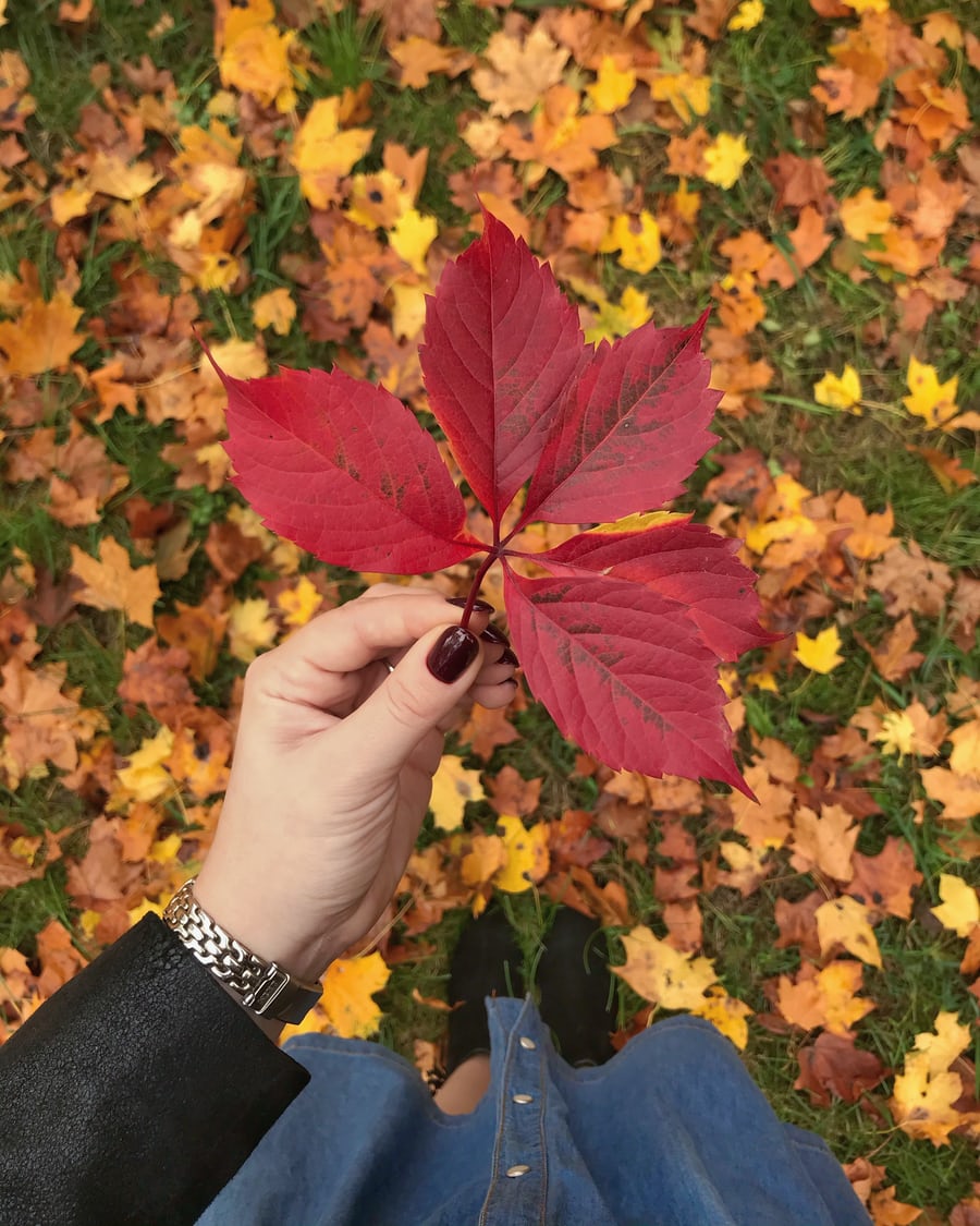 pix Tendencia Otoño Invierno 2020 Uñas Elegantes 2021 que me hago en las unas manicura para otono invierno 2020 art martin peluqueros