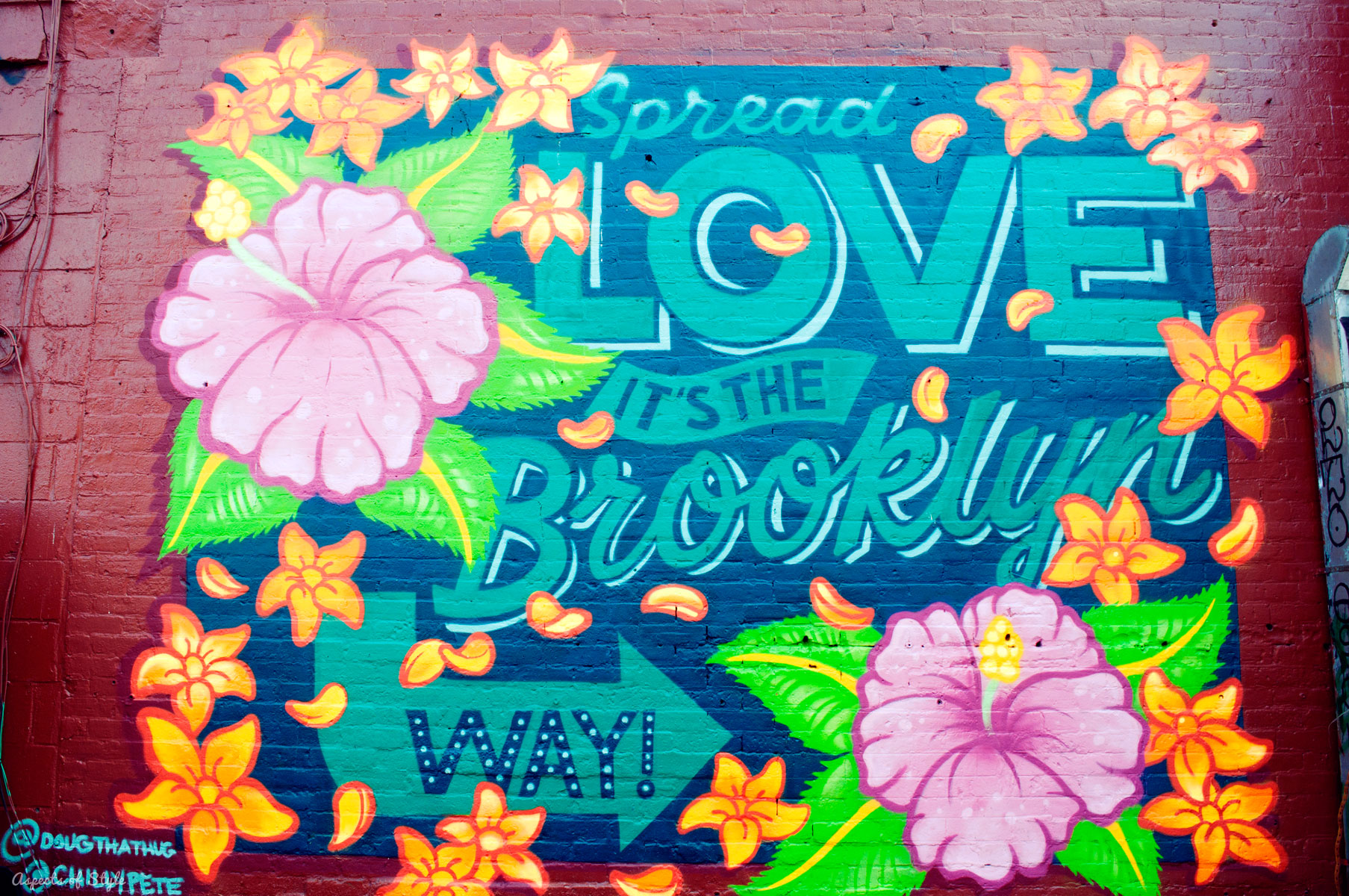 A walk in brooklyn and williamsburg