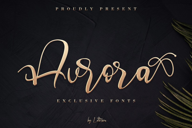 Aurora Calligraphy Font - Download Free Font 534_x_801_jpg