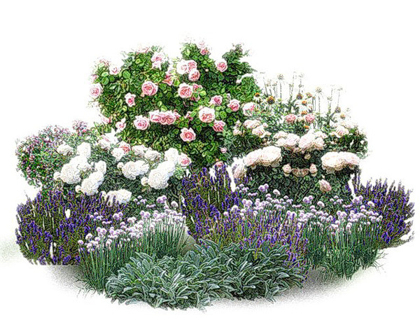 Soguk Kis Ayarinda Renkleri Ile Icimizi Isitan Kis Cicekleri