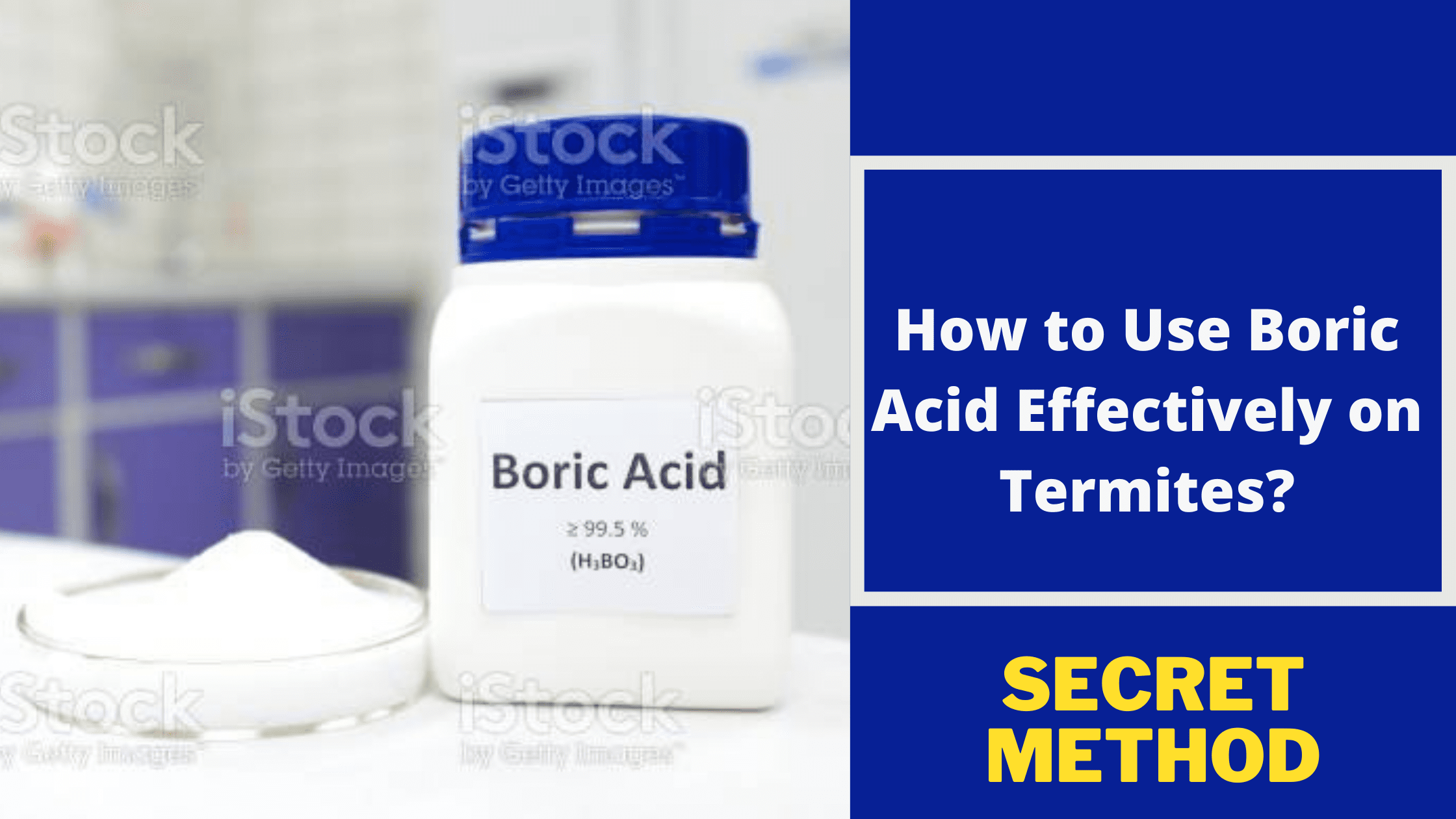 does boric acid kill termites how to use this effectively - bugs solution on where to buy boric acid powder for termites
