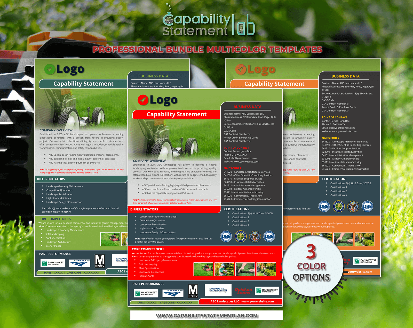 Professional Capability Statement Template Customizable Designs Ms - Premium Mountain Wallpaper Gallery - Ultra HD