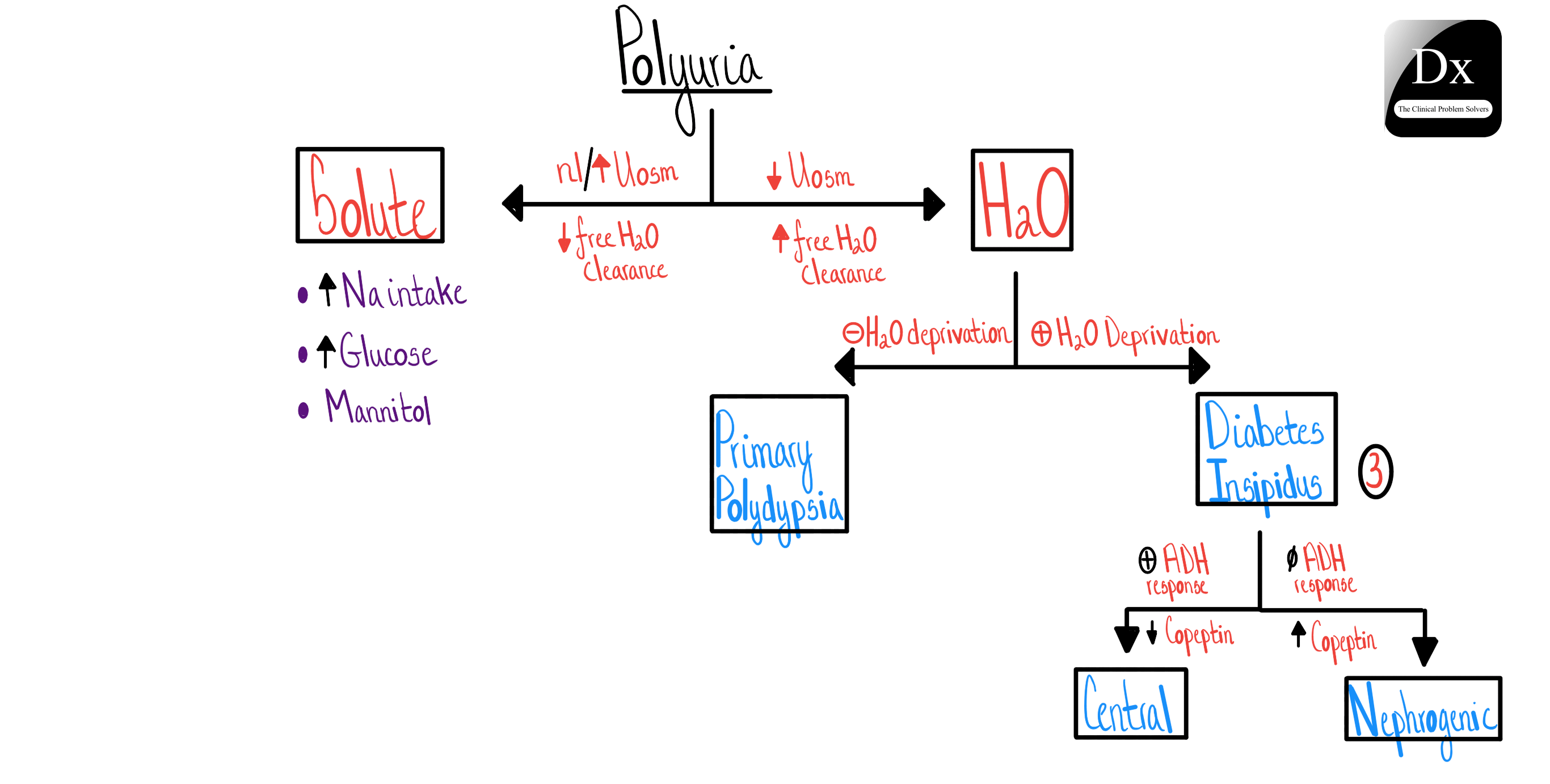Polyuria The Clinical Problem Solvers - Premium Geometric Illustration Gallery - Desktop