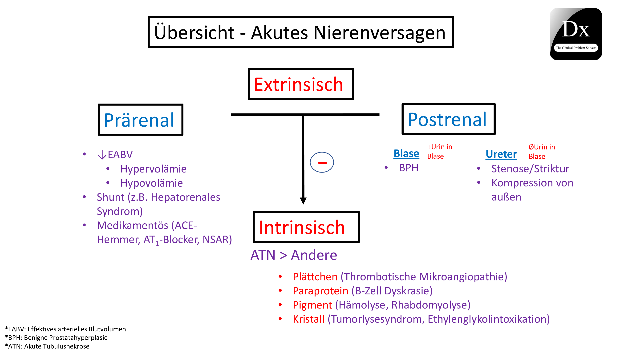 Aki Overview The Clinical Problem Solvers - Premium Mountain Design Gallery - Full HD