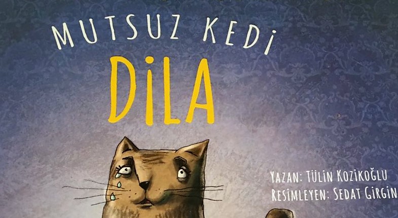 Kedilerin Insanlardan Daha Ustun Olduklarini Kanitlayan 10 Ozelligi