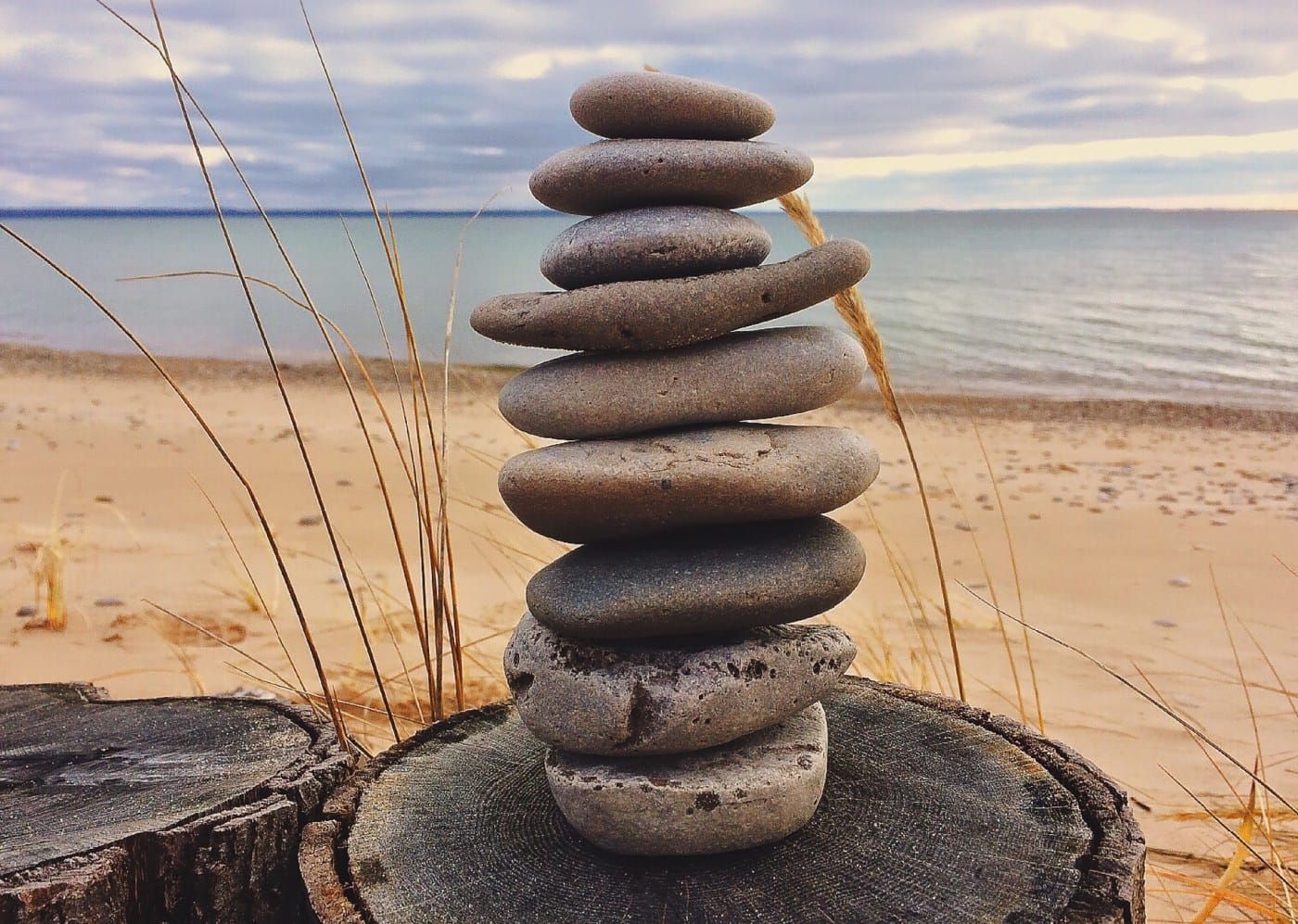 pic Solid the full stack