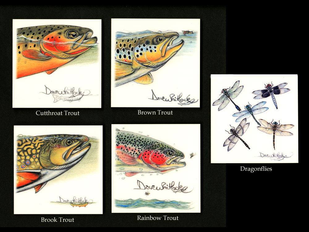 Fishing With Dave Whitlock Youtube - Full HD Nature Textures for Desktop