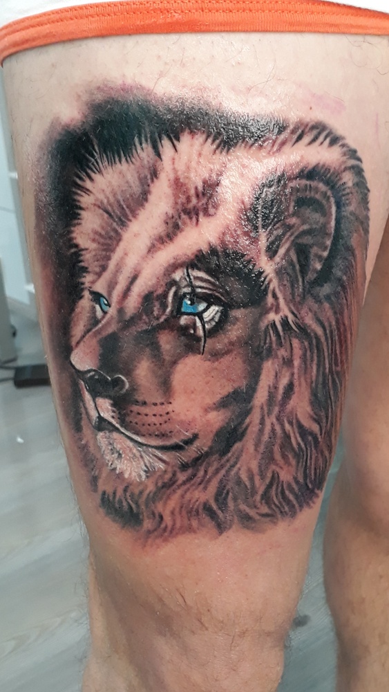 Gratuito Download immagini Tatuaggio Leone Denis Trevisani Tattoo Studio ultima saluti