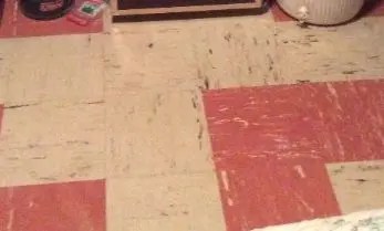 Is This Vinyl Tile Asbestos How To Check The Silicon Underground 