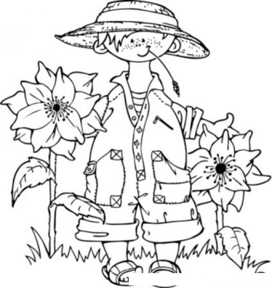 Jardin De Flores Dibujos De Jardines Con Flores Para Colorear