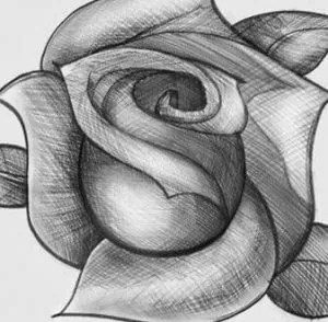 images Bonitas Flores Para Dibujar A Lapiz dibujo de flores blogger