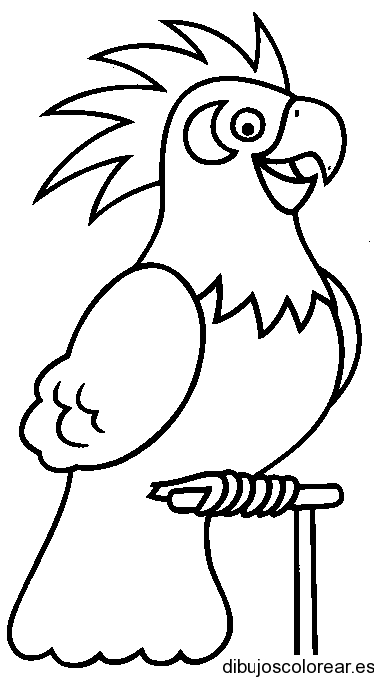 pix Dibujos Animales Aereos Para Colorear dibujo de un loro parlanchin