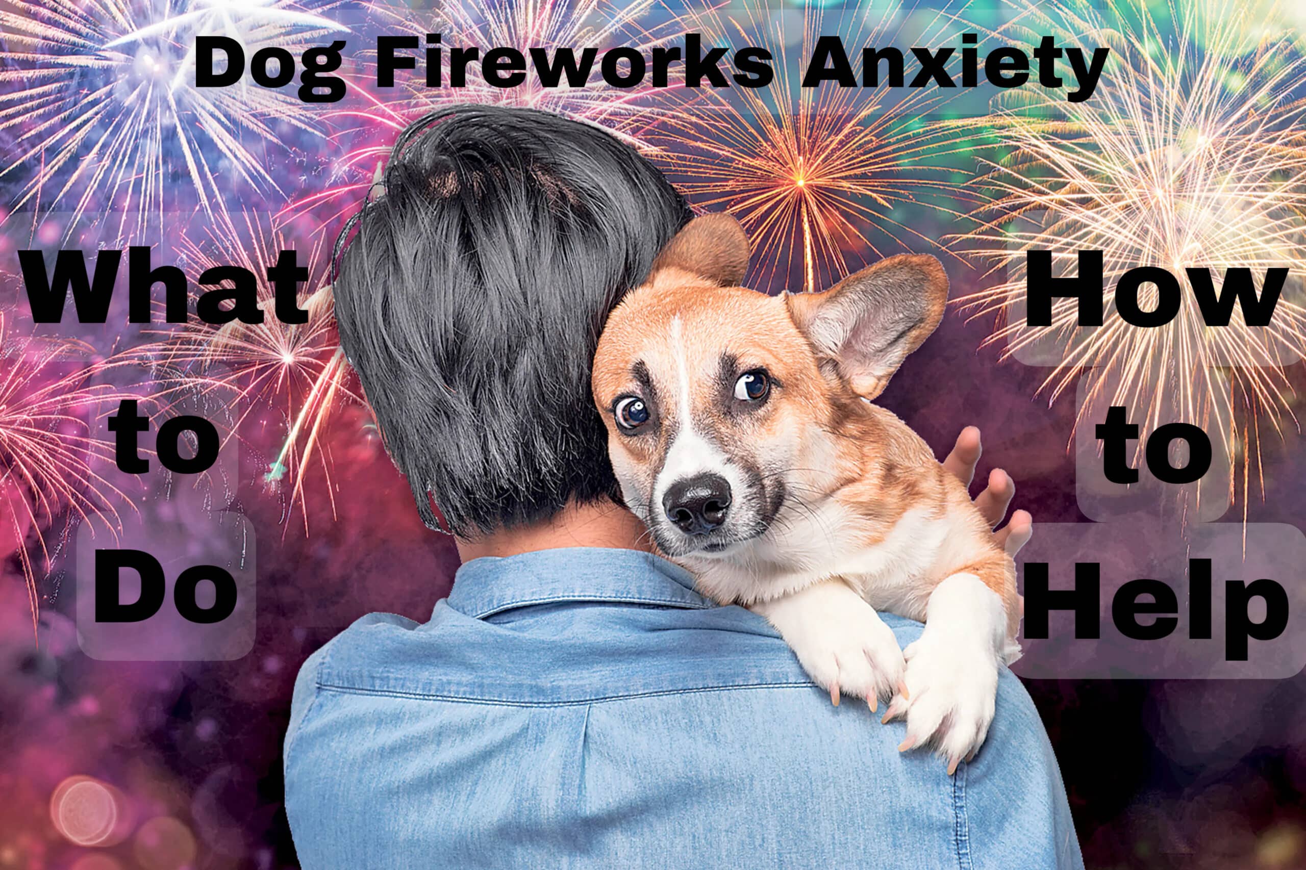 Dog anxiety treatments archives
