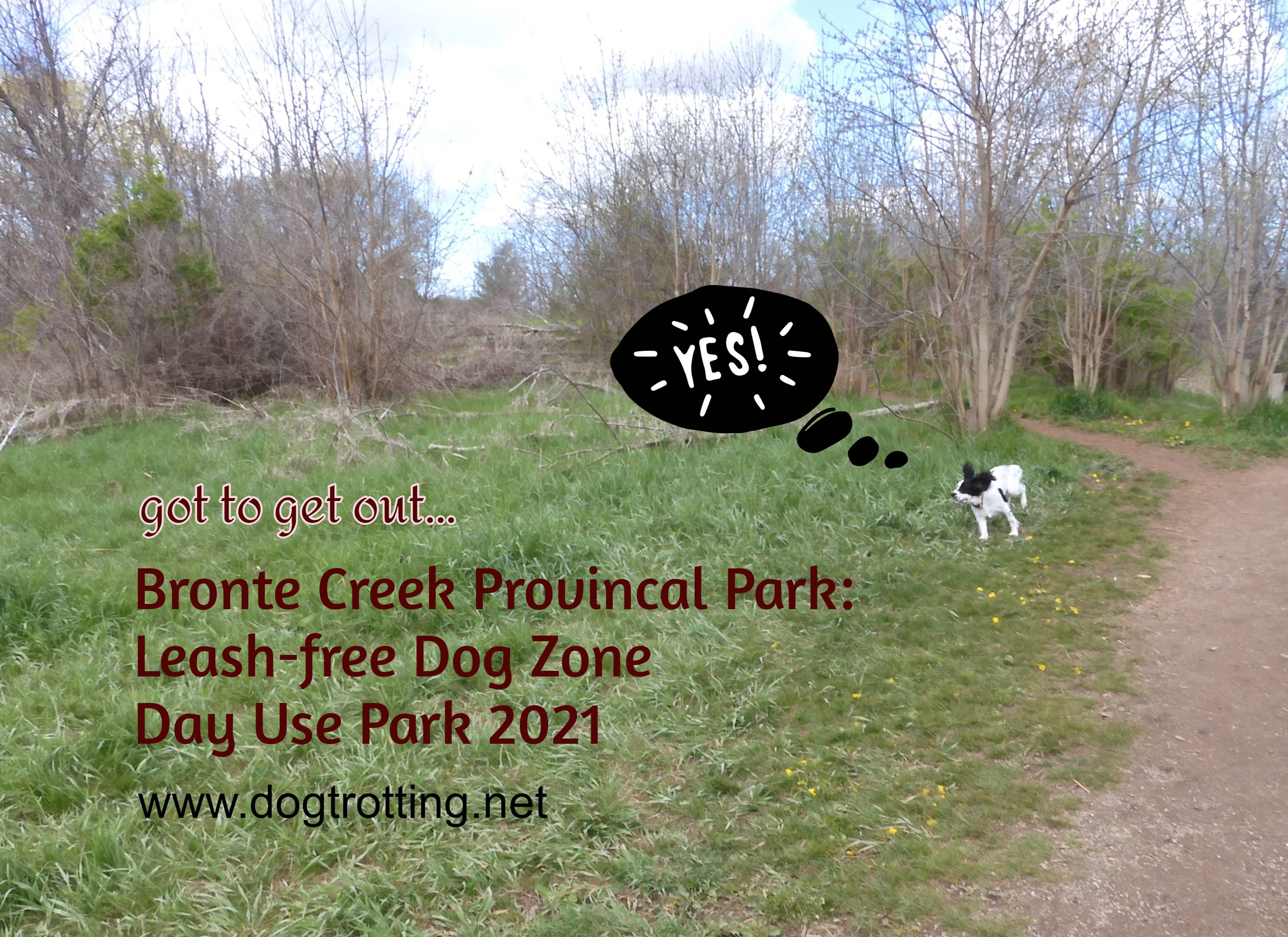 Enjoy Off Leash Dog Park Fun Oakville S Bronte Creek Provincial Park Bronte Creek 2 