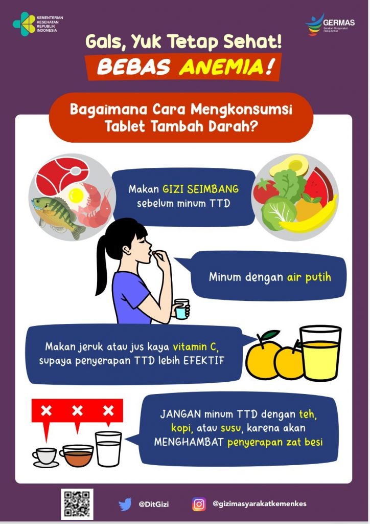 Cegah Anemia Pada Remaja Dengan 10 Prinsip Gizi Seimbang - Elsalova.com |  Mengenal Lewat Kata