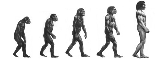 View 10 Evolucion Del Hombre Para Dibujar Facil