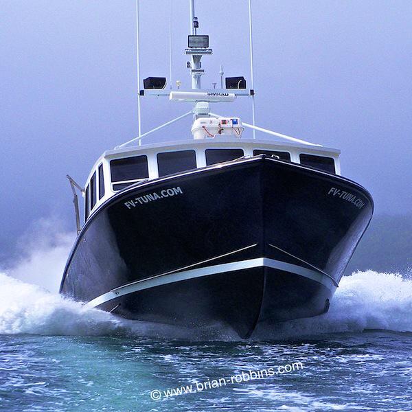 Boat Yacht Rental Charter Boat What Charter Boat