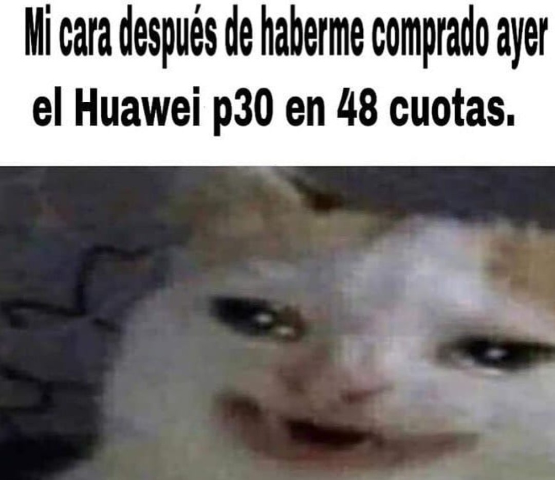 pics Gato Llorando Google Cancer Meme sos meme by darcoyt memedroid
