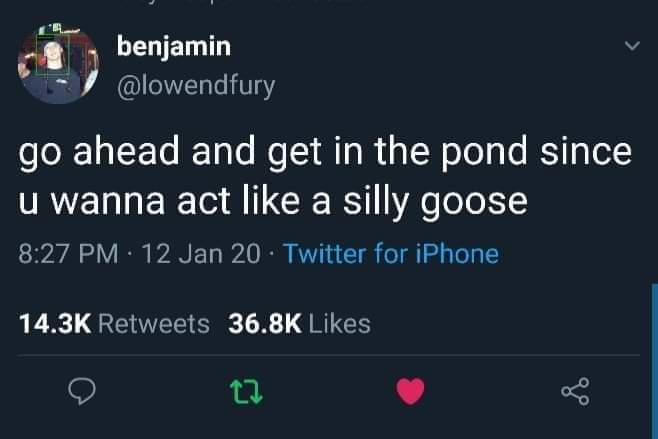 pic Yeah You Silly Goose Meme memedroid