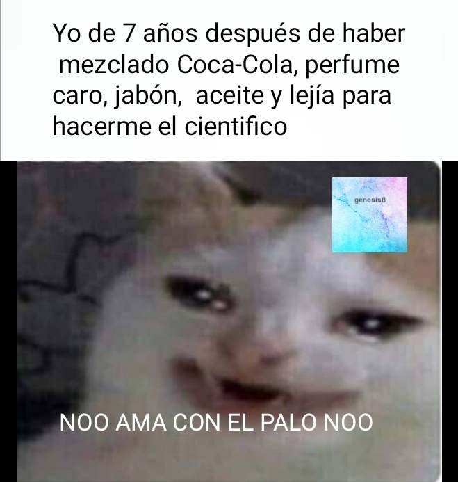 picture Gato Llorando Google Cancer Meme memedroid