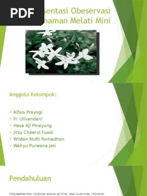 Belajar Berhitung Sambil Mewarnai Lembar Kerja Anak Balita Tk Angka 1 10 Lembar Kerja Belajar Menghitung Belajar Contoh report text dan soal 15 jasmine is a native flower to some tropical areas in south asia africa and australia.