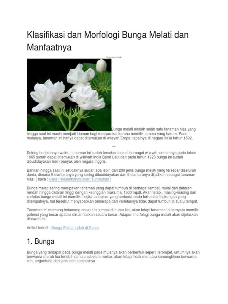 Contoh Teks Report Tentang Bunga Melati Berserta Contoh Soal