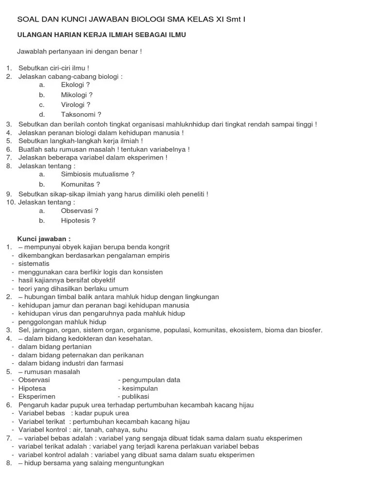 Contoh Soal Essay Sistem Peredaran Darah Beserta Jawabannya
