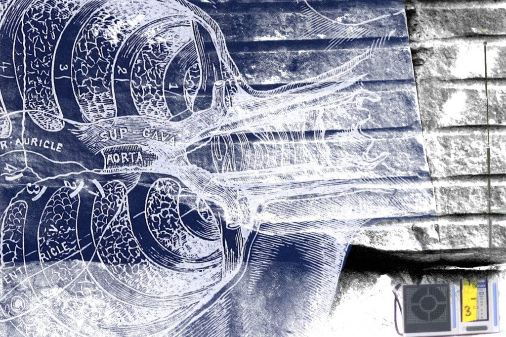 John Roach Medium - Premium Gradient Photo Gallery - 8K