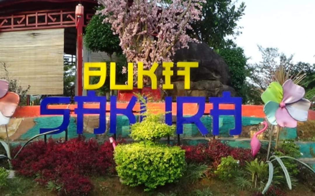 Bukit Sakura Destinasi Wisata Instagramable Ala Jepang Di Lampung Liburasik Com
