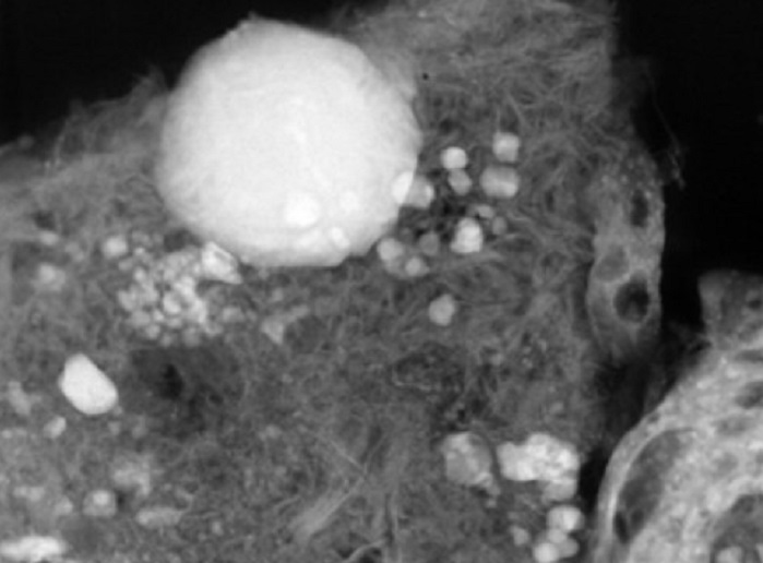 Diamond Light Source Lightsources Org - Best Gradient Textures in High Resolution