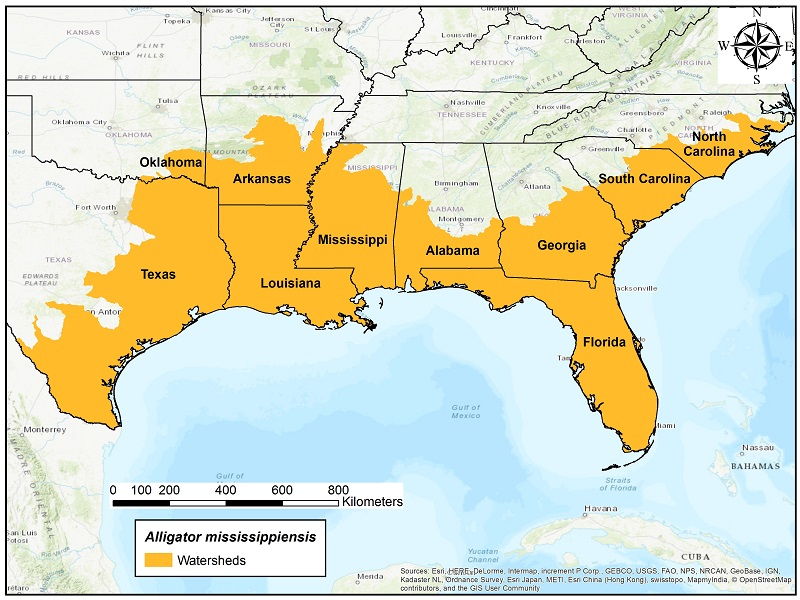 Where Do Alligators Live Printable Map Of The US Alligator Facts Fwc 