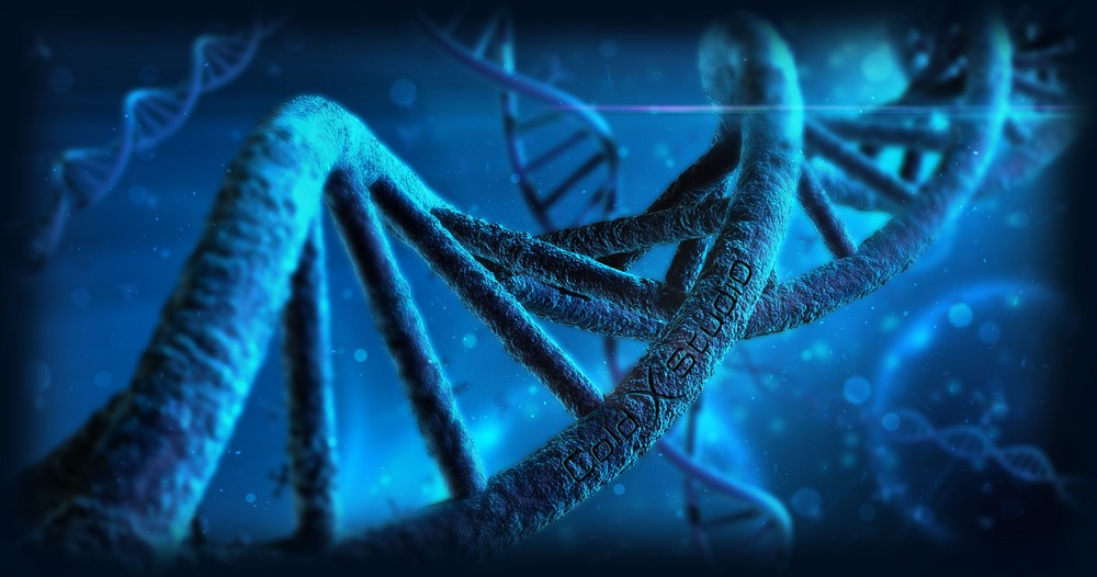 Physical Anthropology Evolution Evolution Evolution Whos What Creationist - Geometric Arts - Artistic Ultra HD Collection