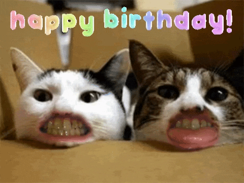 pic Gif Meme Happy Birthday Funny Images memes gifs